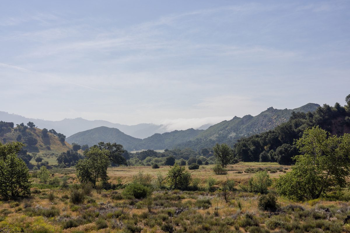 Meadow and far ridges