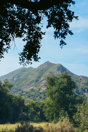A peak on one of my usual hikes